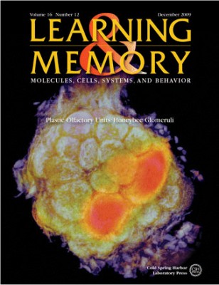 TAPA LEARNING MEMORY-1