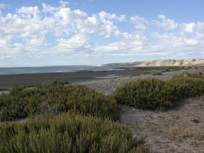 foto mar argentino 1