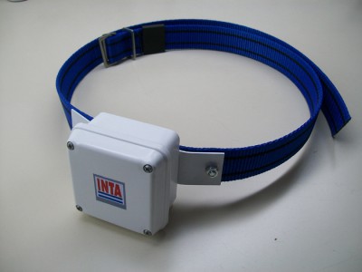 COLLAR GPS 1