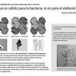 FOTO 3 cyta