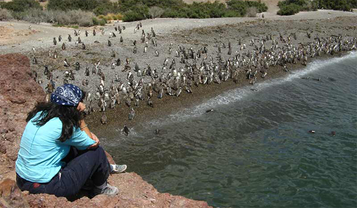 Argentina suma su decimoquinta Reserva de Biósfera de la UNESCO