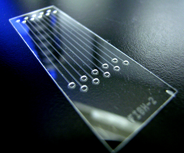 El laboratorio en un chip: avance de científicos argentinos