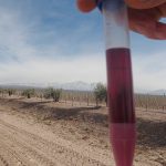 La técnica desarrollada para determinar el valor saludable de uvas y vinos fue desarrollada por científicos de Mendoza y arroja resultados alrededor de una tercera parte de lo que tardan los procedimientos convencionales. Créditos: Gentileza del Dr. Ariel Fontana