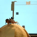 Los científicos de la UBA y del CONICET desarrollaron un modelo matemático que predice el modo en que los cangrejos regulan su velocidad de escape. Créditos: Gentileza del Dr. Daniel Tomsic