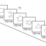 A los participantes se les mostraba una serie de figuras geométricas en la pantalla por un tiempo muy breve, y tenían que decidir si un objeto en particular estaba presente o no en un mar de objetos distractores. Al mismo tiempo, tenían que reportar el grado de confianza que tenían en esa decisión.  