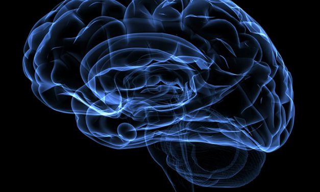 Logran atenuar recuerdos persistentes de miedo