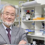 El doctor Yoshinori Ohsumi es profesor del Instituto de Tecnología de Tokio. Es el segundo Nobel de Medicina que recibe solo el galardón en lo que va del siglo, después del británico Robert Edwards.   Créditos: Instituto de Tecnología de Tokio.