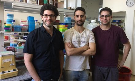 Desarrollan modelo experimental para investigar la esclerosis lateral amiotrófica