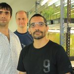 El doctor Pablo Cerdán (centro), director del Laboratorio de Biología Molecular de Plantas en el Instituto de Investigaciones Bioquímicas de Buenos Aires, dependiente del Conicet y del Instituto Leloir,  y dos integrantes de su grupo que también participaron del avance, el doctor Maximiliano Sánchez-Lamas (izq.) y el licenciado Christian Lorenzo.