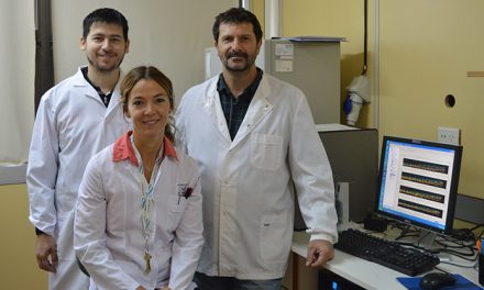 Descubren un posible arsenal antibiótico en la piel de una rana patagónica