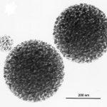 Materiales nanoporosos desarrollados en el Instituto de Nanosistemas de la Universidad Nacional de San Martín. Créditos: Gentileza del Dr. Galo Soler Illia. 