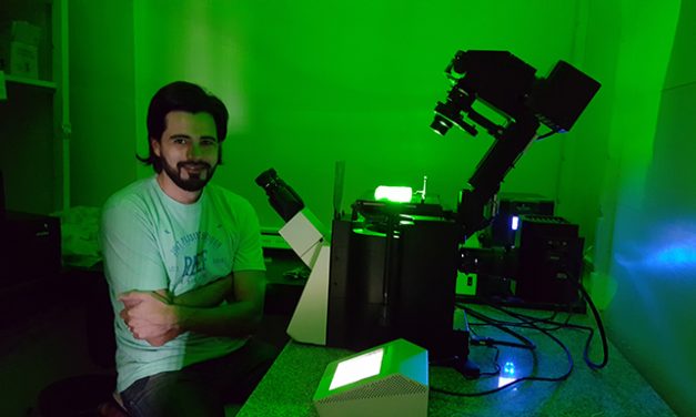 Imágenes 3D de embriones son un nuevo paso para la regeneración de lesiones de la médula