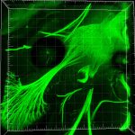 Los investigadores argentinos obtuvieron detalladas imágenes 3D del desarrollo de neuronas en embriones de ratón. 