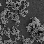 El filtro de las científicas argentinas está dotado de nanopartículas y retiene con eficacia patógenos presentes en agua. 