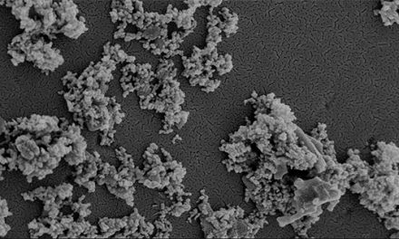 Logran retener bacterias peligrosas con nanopartículas