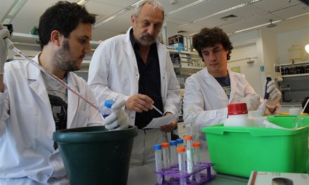 “La ciencia básica es un paso clave para curar muchas enfermedades”