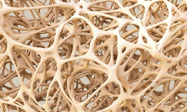 Científicos de Rosario y Tucumán participan de un esfuerzo internacional para reparar huesos