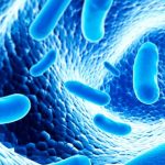 Las bacterias beneficiosas o “probióticos” pueden modular patologías de la piel. 