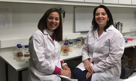 BACTERIAS SALUDABLES PODRÍAN SOBREVIVIR A ALTAS TEMPERATURAS