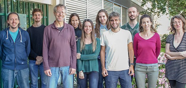 El ejercicio ayuda a reforzar circuitos neuronales durante el envejecimiento