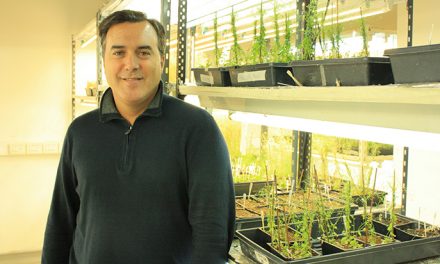 Distinguen a investigador que potencia las raíces de las plantas 