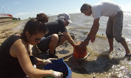 Alertan sobre los residuos plásticos en la laguna Setúbal de Santa Fe