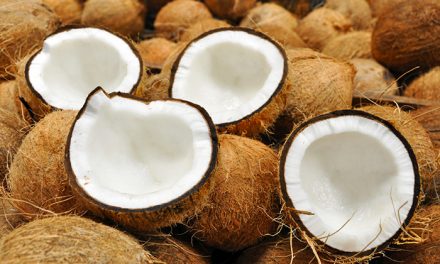 Investigan el uso del aceite de coco contra el Alzheimer