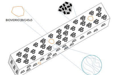 Crean biomaterial para la regeneración del tejido óseo