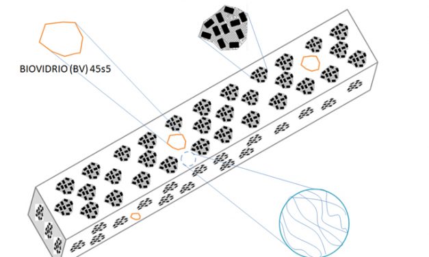 El biomaterial para la regeneración del tejido óseo está formado por componentes inorgánicos y una parte del cordón umbilical humano. Créditos: Cristian Martínez.