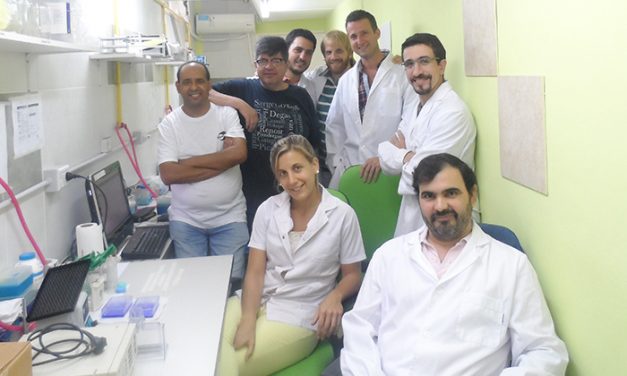 Identifican capacidad de bacteria para prevenir infecciones