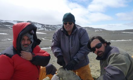 Estudio de fósiles amplia la diversidad de tiburones que habitaron la Antártida