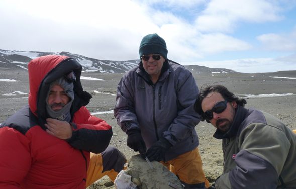 Estudio de fósiles amplia la diversidad de tiburones que habitaron la Antártida