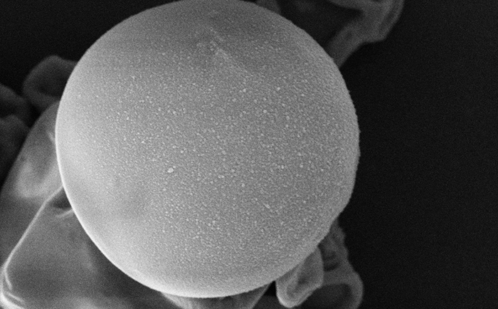 Las microcápsulas con aceite esencial de orégano constituyen una alternativa de “delivery” para mejorar la calidad de alimentos como carnes rojas, pescado, lácteos, aceites vegetales y frutos secos. Créditos: Gentileza Dra. Claudia Asensio