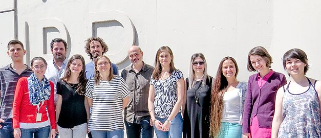 Identifican “llaves maestras” que regulan el crecimiento de las raíces 