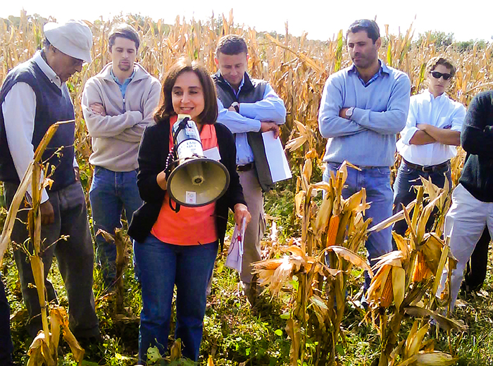 Científicos de Córdoba se acercan a una solución natural para una plaga del maíz 
