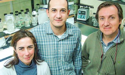 Identifican un nuevo “truco” genético de las bacterias que detectan oro