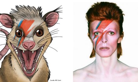 Paleontólogos honran a David Bowie tras descubrir un mamífero que convivió con dinosaurios 