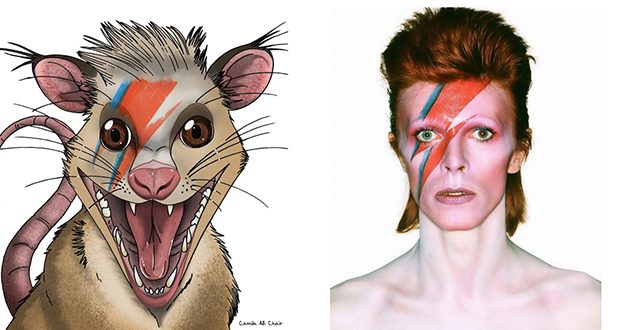 Paleontólogos honran a David Bowie tras descubrir un mamífero que convivió con dinosaurios 