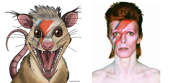 Paleontólogos honran a David Bowie tras descubrir un mamífero que convivió con dinosaurios 