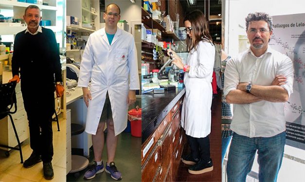 Estudio argentino abre caminos para cultivos resistentes a sequía