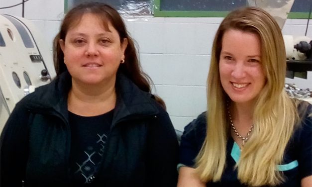 Científicos optimizan proceso para producir harina refinada a partir del sorgo