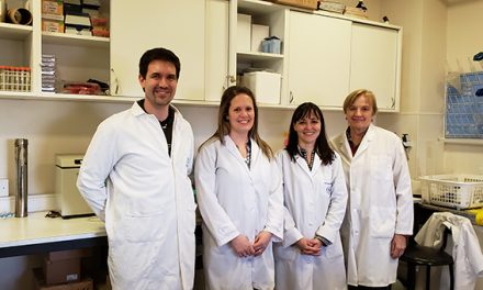 Estudio científico apunta al desarrollo de suplementos dietarios para  poblaciones bajo tratamientos anti-cancerígenos