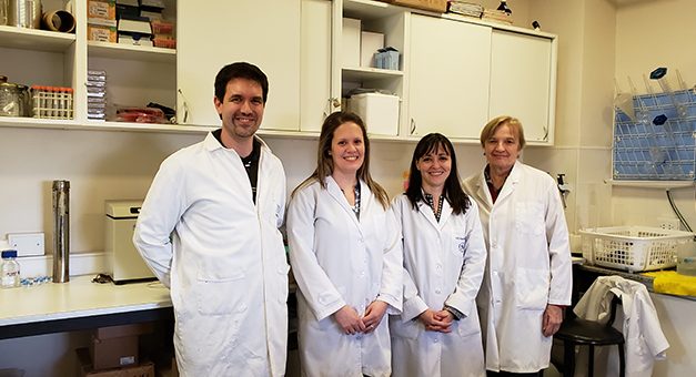 Estudio científico apunta al desarrollo de suplementos dietarios para  poblaciones bajo tratamientos anti-cancerígenos