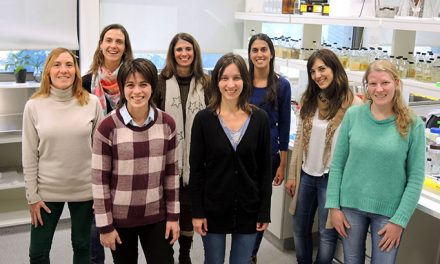 Identifican la punta de lanza de las bacterias para infectar a los cultivos