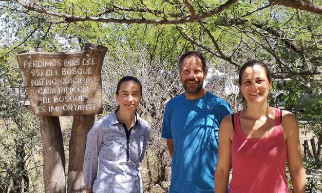 Científicos cordobeses proponen usar un hongo para proteger a un árbol amenazado