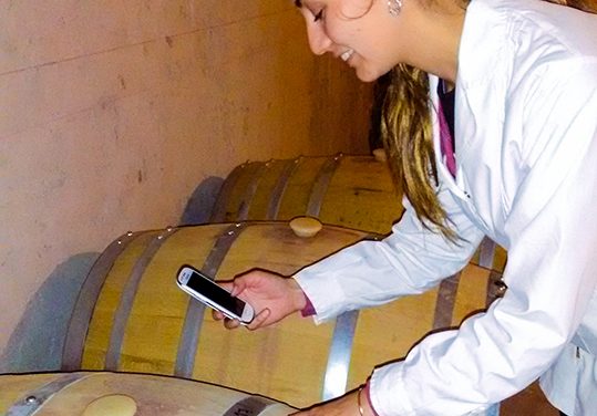 Una app móvil para bodegas podría salvar la calidad del vino