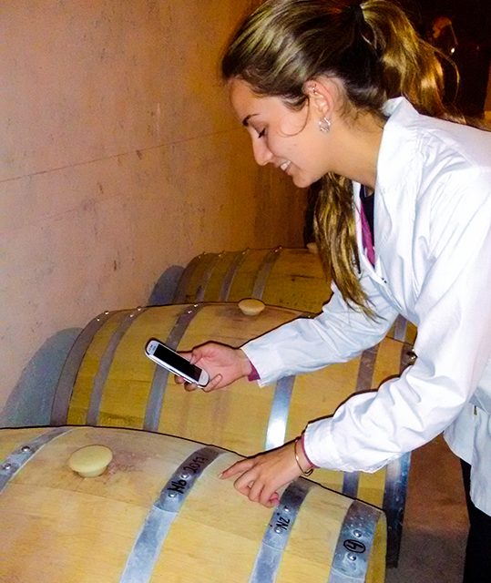Una app móvil para bodegas podría salvar la calidad del vino