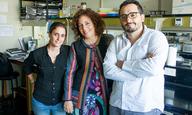 Científicos argentinos desarrollan promisorio enfoque terapéutico para el cáncer de mama y de ovario