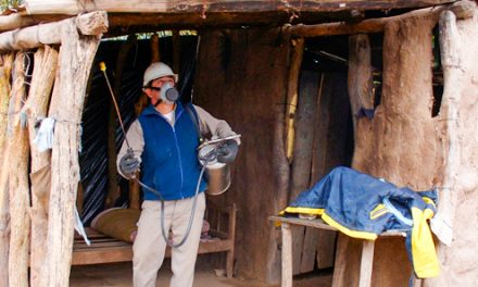 Logran controlar al vector del Chagas en comunidades indígenas del Chaco