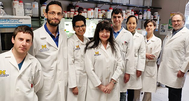 Estudio liderado por argentinos describe promisorio enfoque para tratar un tumor cerebral en adultos